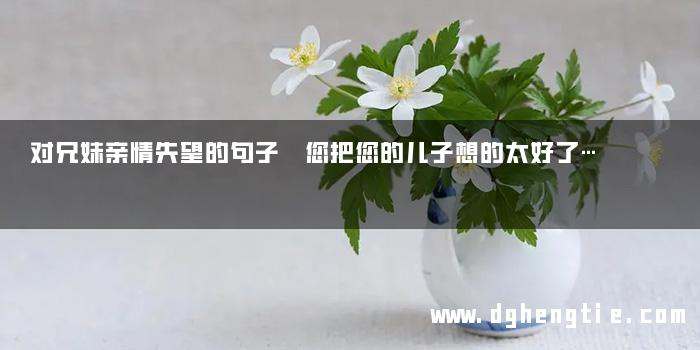对兄妹亲情失望的句子 您把您的儿子想的太好了…